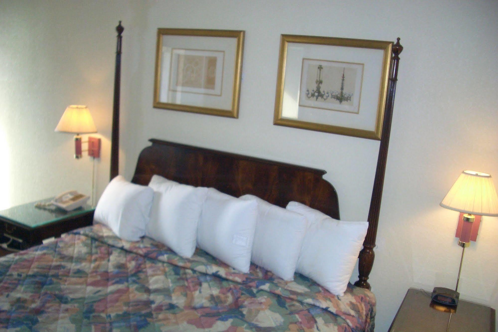 Regency Inn Of 内珀维尔 外观 照片